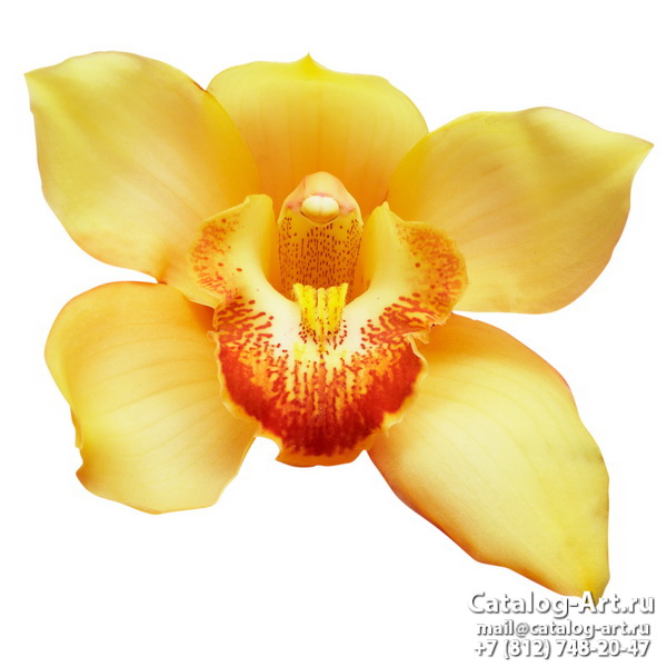 Printing images - Yellow orchids - ceilings design